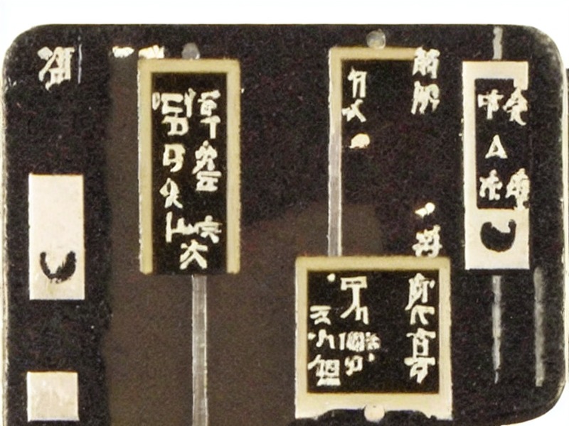 天线组件总览项目资料